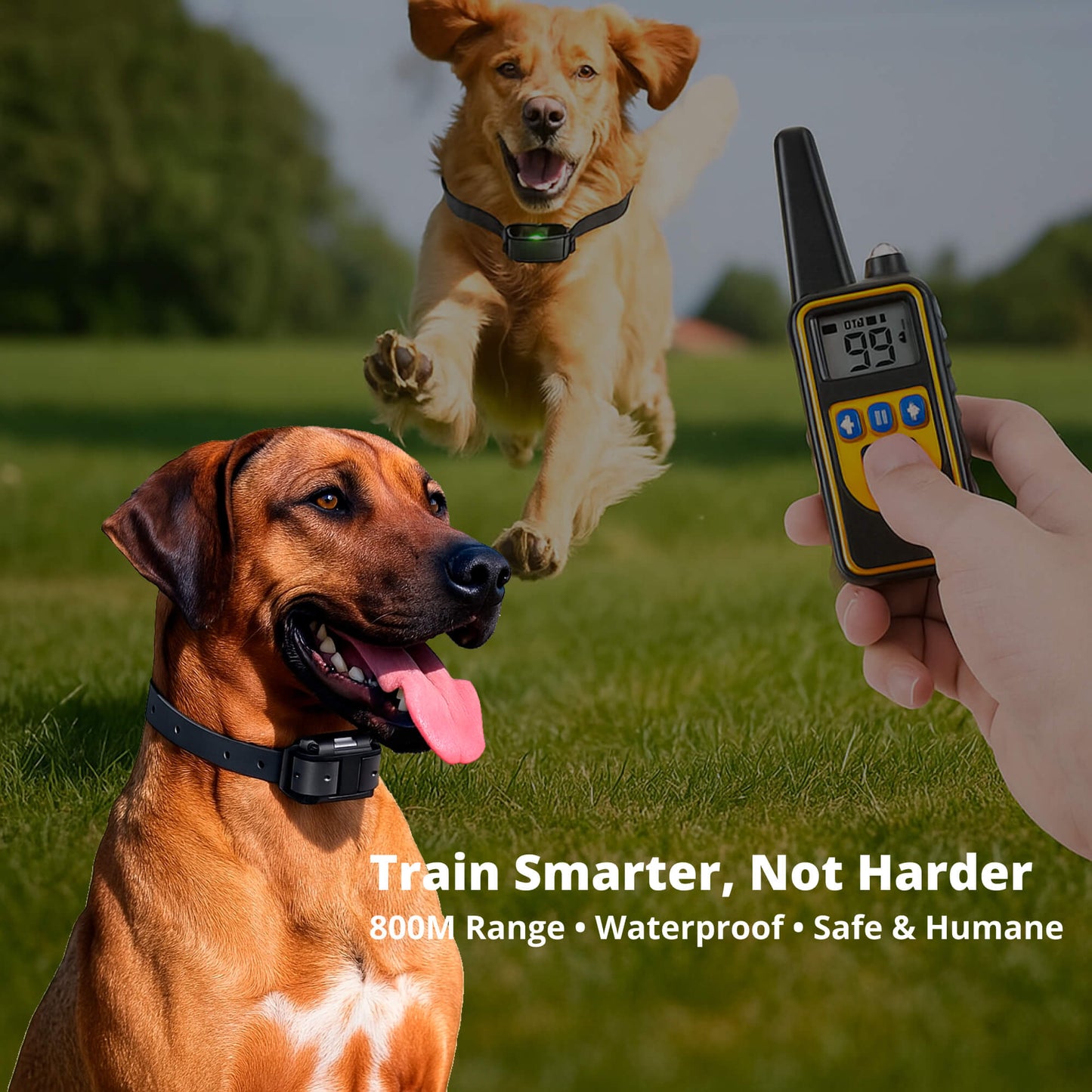 Long Range Waterproof Dog Training Collar With Rechargeable Remote