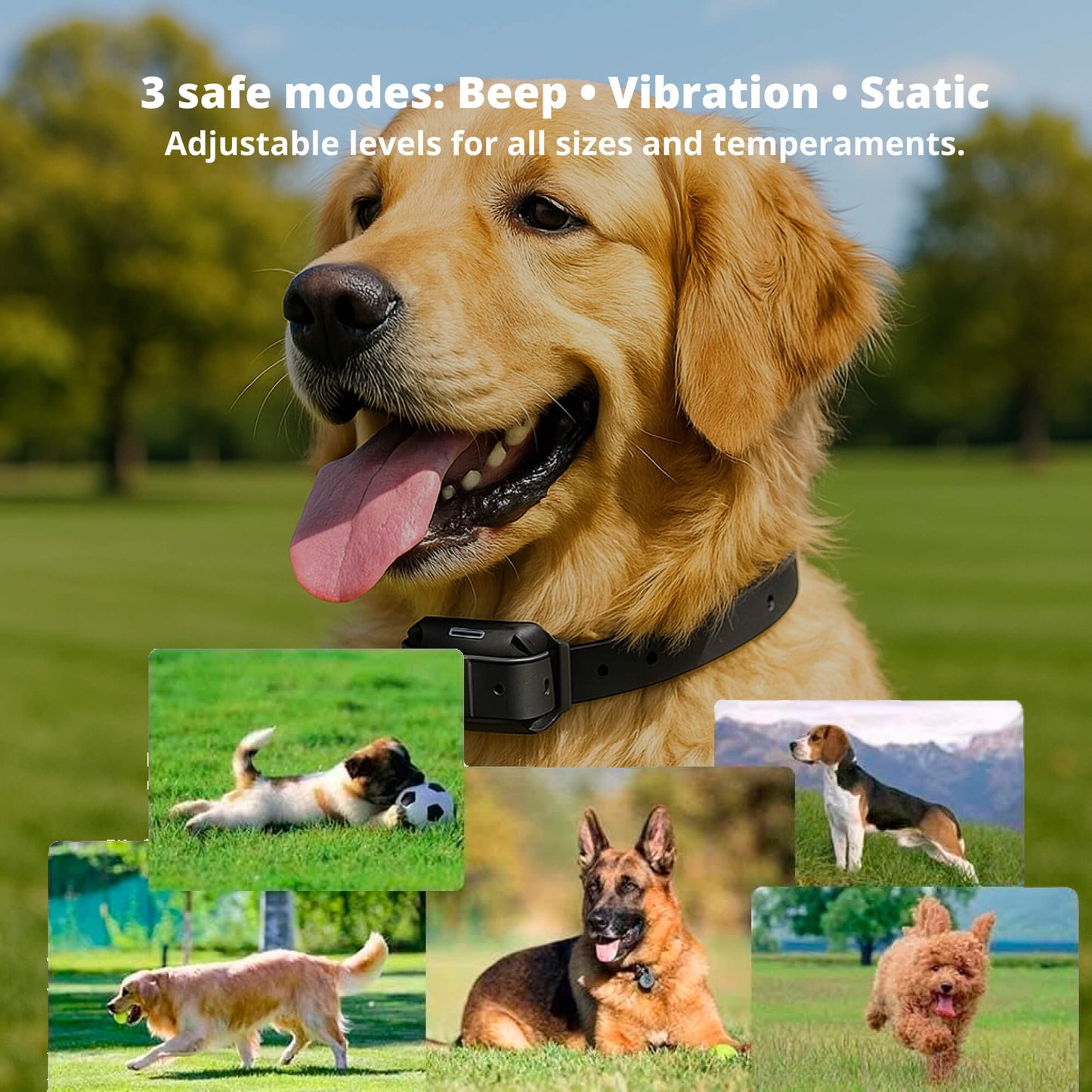 Long Range Waterproof Dog Training Collar With Rechargeable Remote
