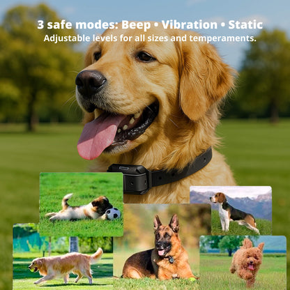 Long Range Waterproof Dog Training Collar With Rechargeable Remote