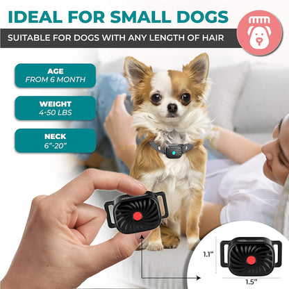 QuietPaw Anti Bark Collar for Small Dogs