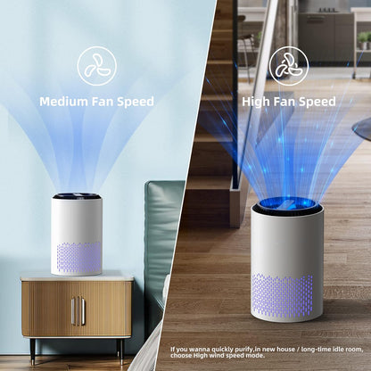 Small Room Quiet True HEPA Air Cleaner
