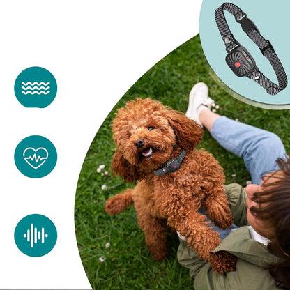 Effective Anti Bark Collar For Small Medium Large Dogs
