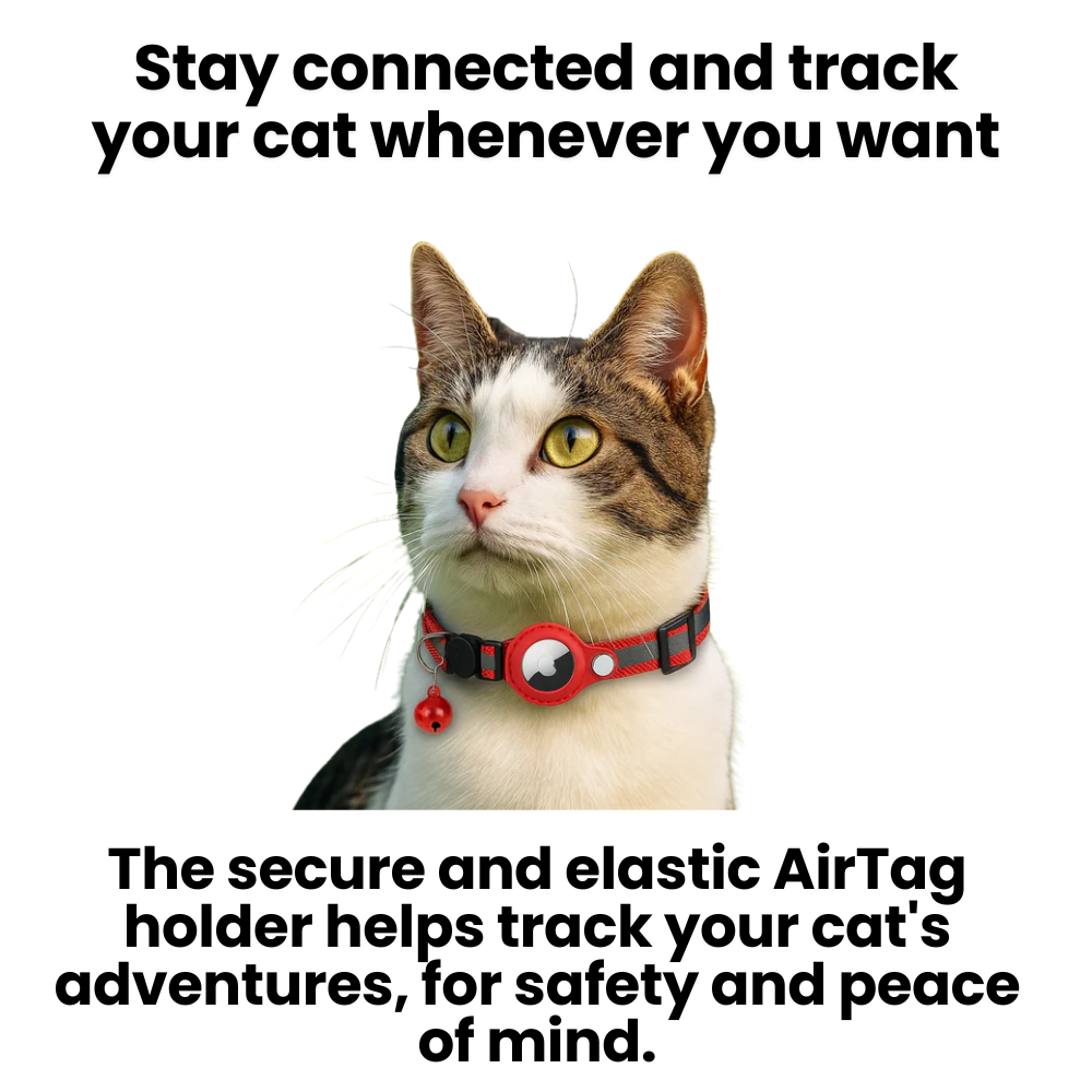 Safe Glow Pet GPS Tracking Cat Collar