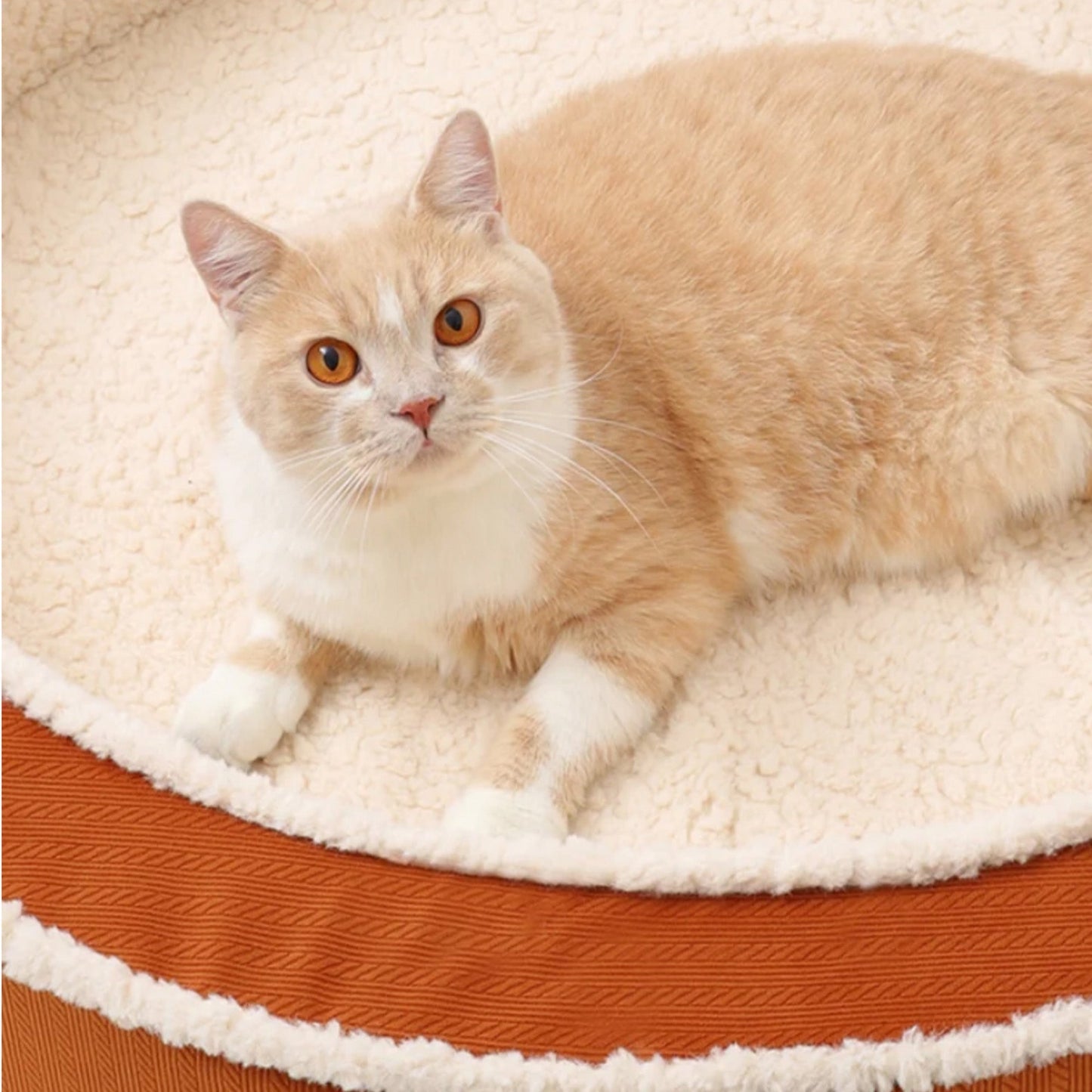Comfy Soft Round Pet Bed Orthopedic Non Slip Bottom