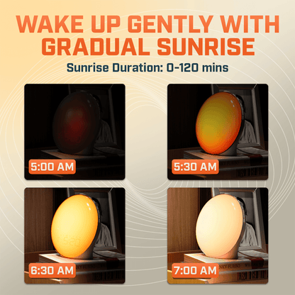 Wake Up Light LED Alarm Clock With Snooze