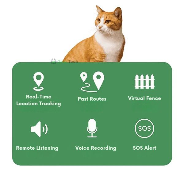 Accurate Long Range Pet GPS Tracking Device Waterproof