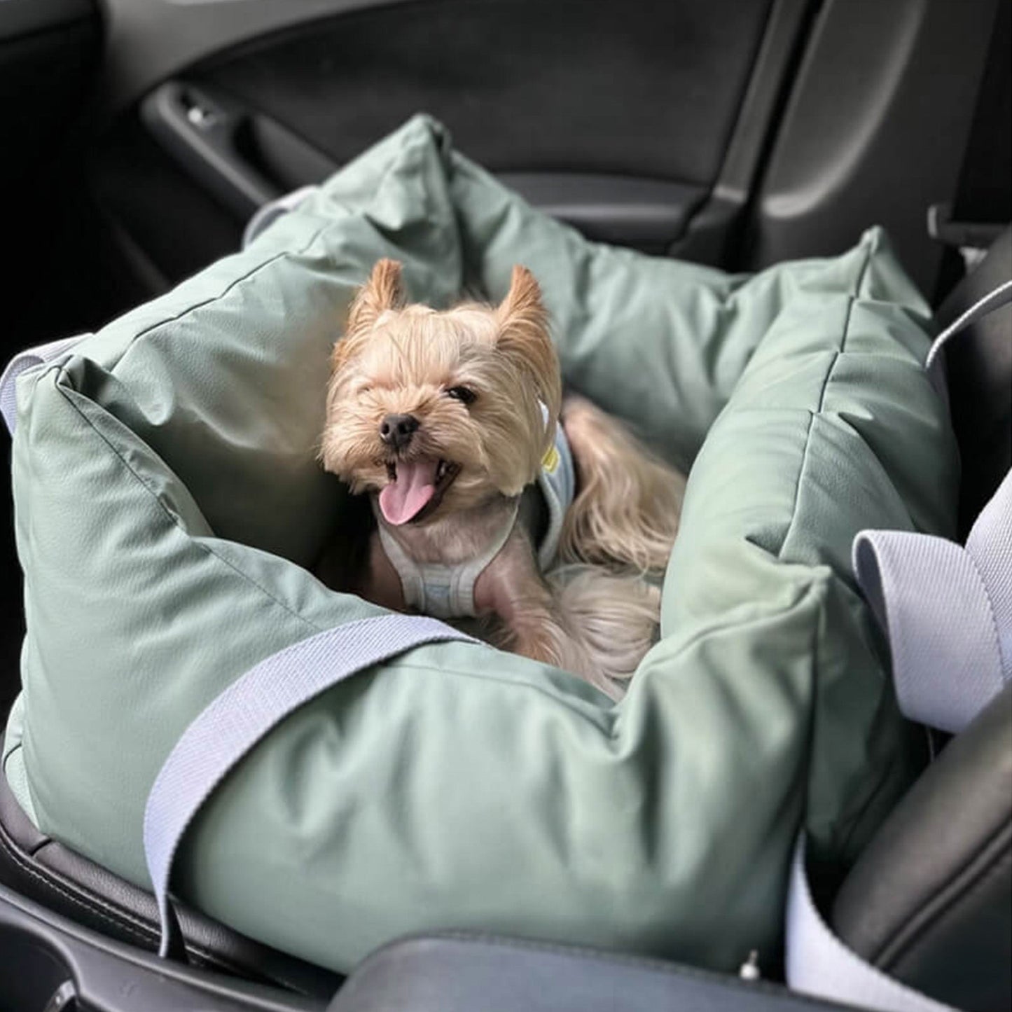 Durable Pet Car Seat - Safe and Comfortable Ride