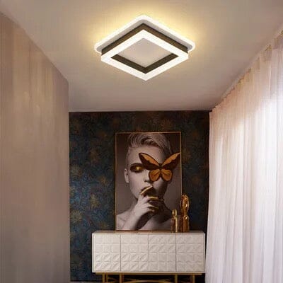 Elegant Entryway Ceiling Light