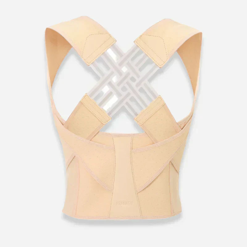 Ergonomic Back Support Cushion