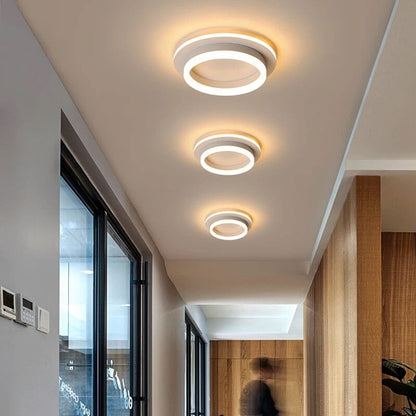 Elegant Entryway Ceiling Light