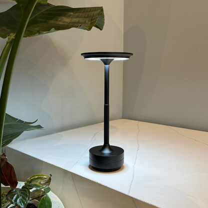 Portable Dimmable LED Desk Lamp With Metal Base