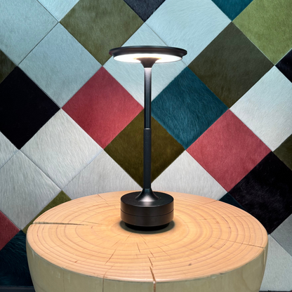 Portable Dimmable LED Desk Lamp With Metal Base