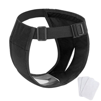 Pet Incontinence Protection Pants with Reusable Diapers - Lusomart