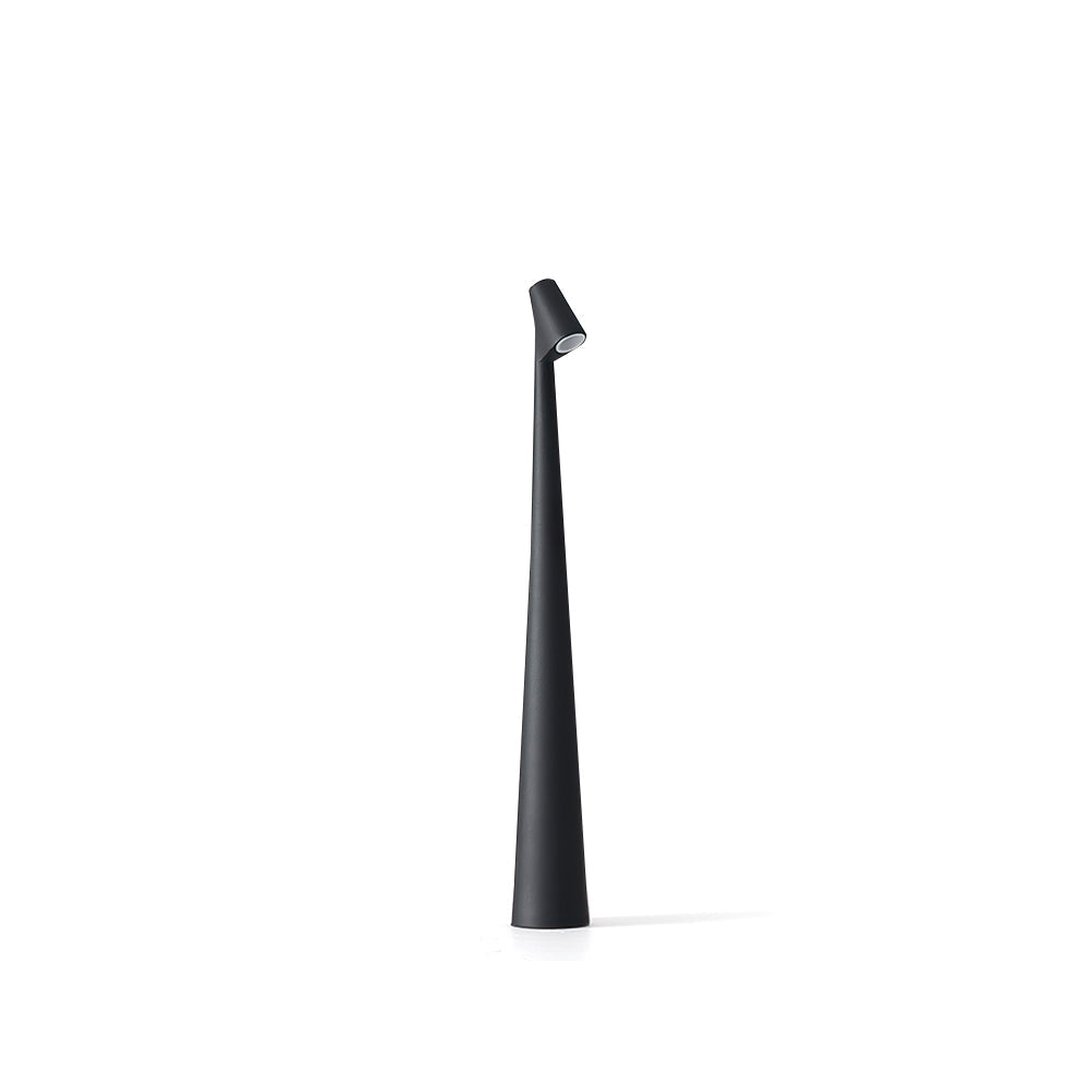 Bright LED Desk Lamp with USB Rechargeable Light