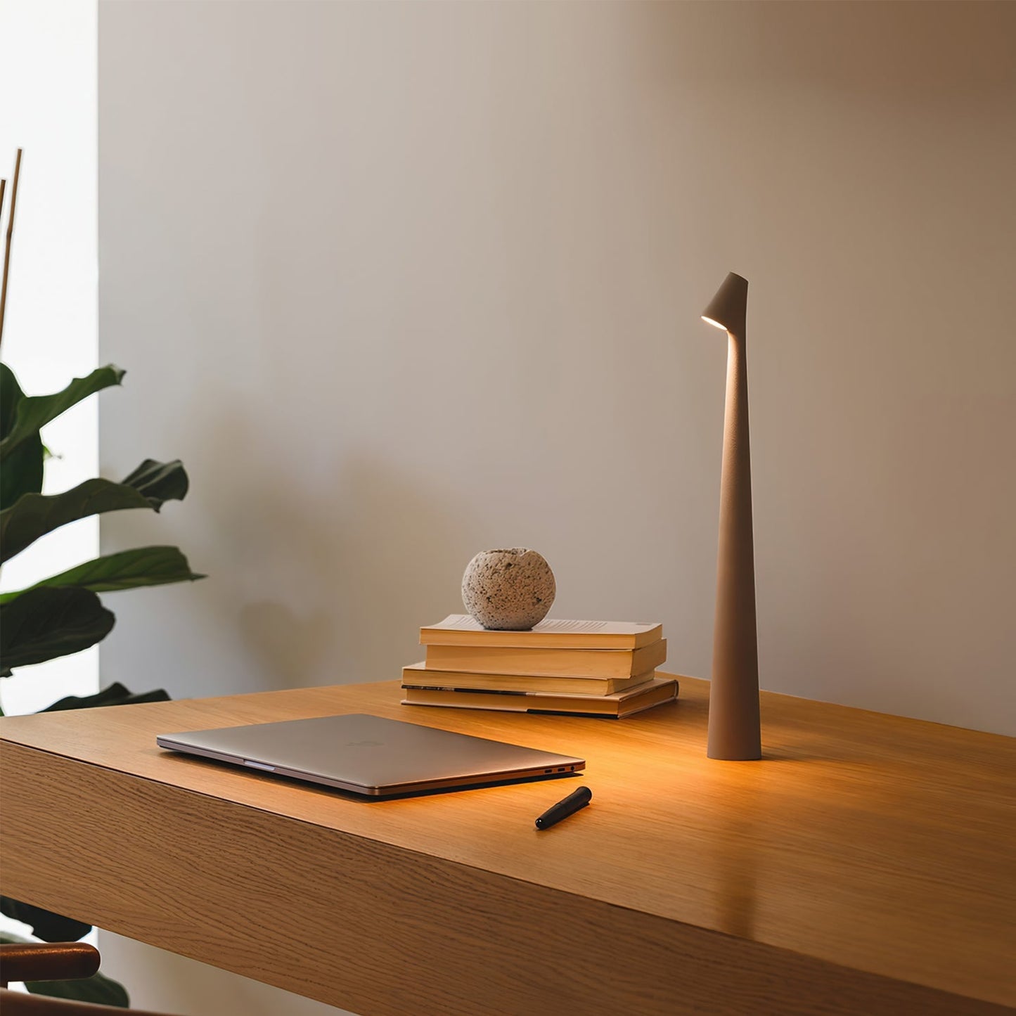 Bright LED Desk Lamp with USB Rechargeable Light