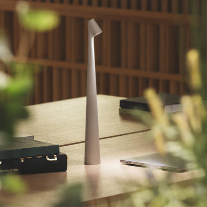 Bright LED Desk Lamp with USB Rechargeable Light