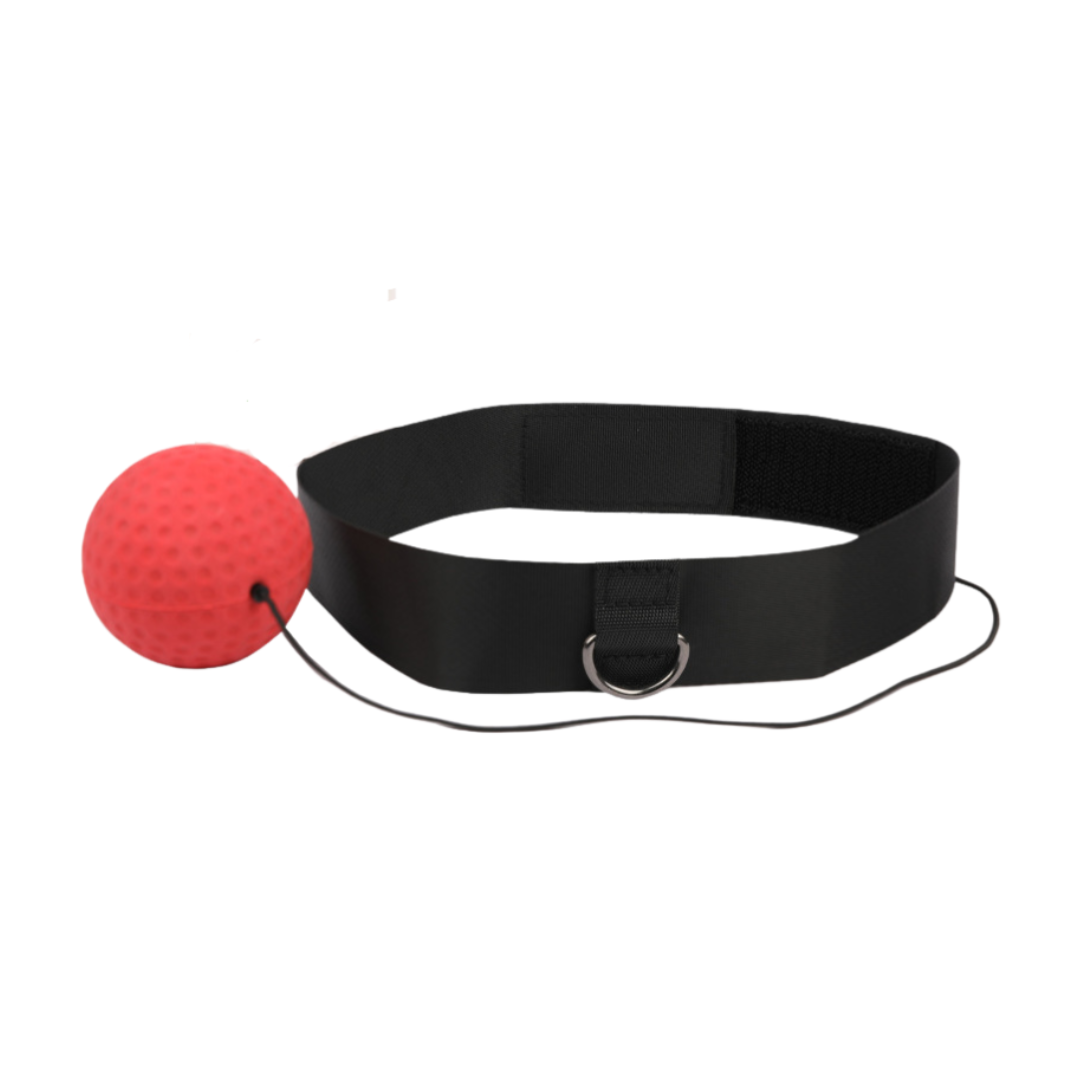 AgilitySphere | Dynamic Adjustable Reflex Training System 1