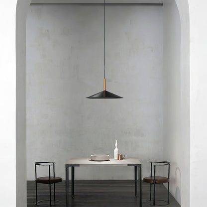 Warm White Pendant Lamp For Contemporary Homes