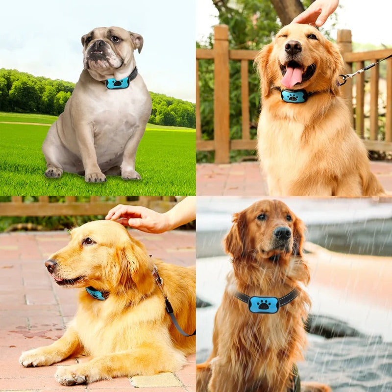Humane Dog Barking Control Collar No Shock