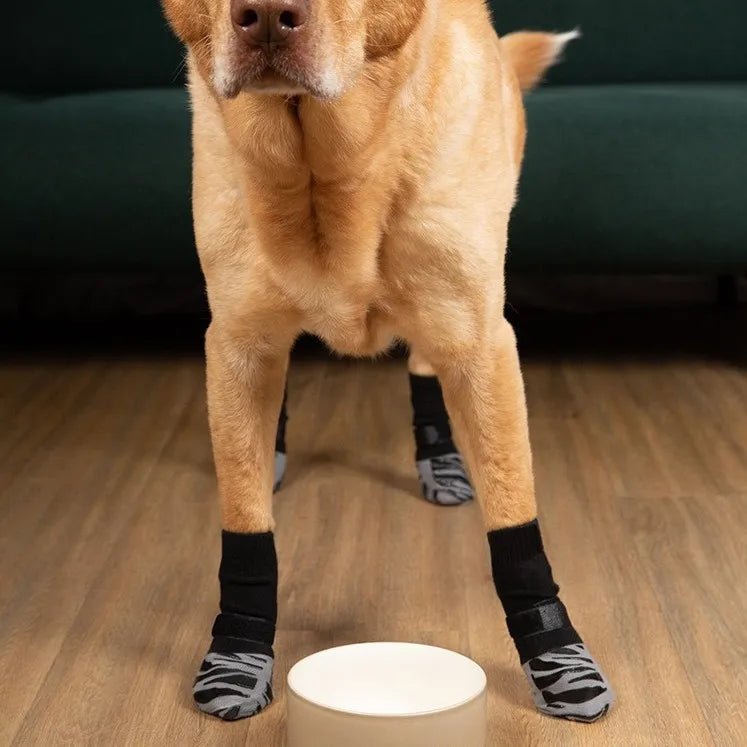 Anti-Slip Dog Socks for All Breeds – Enhanced Grip and Comfort 1