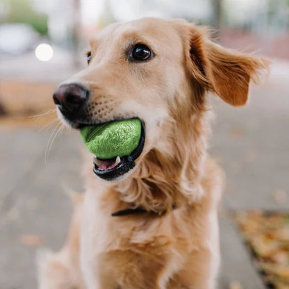 Interactive Rechargeable Dog Ball Toy - Lusomart