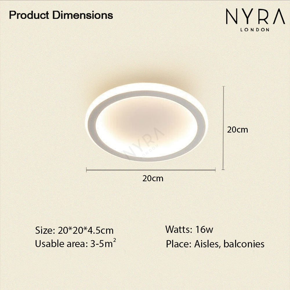 Modern LED Ceiling Wall Light