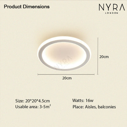 Modern LED Ceiling Wall Light