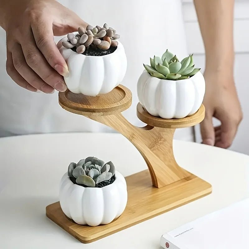 BambooZen | Elegant Minimalist 2-Tier Bamboo Storage Stand 2