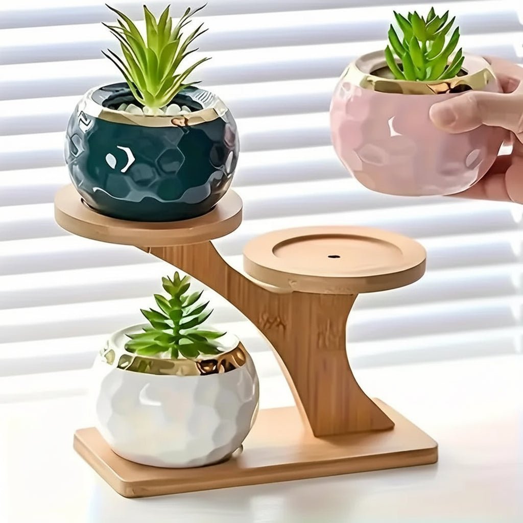 BambooZen | Elegant Minimalist 2-Tier Bamboo Storage Stand 4