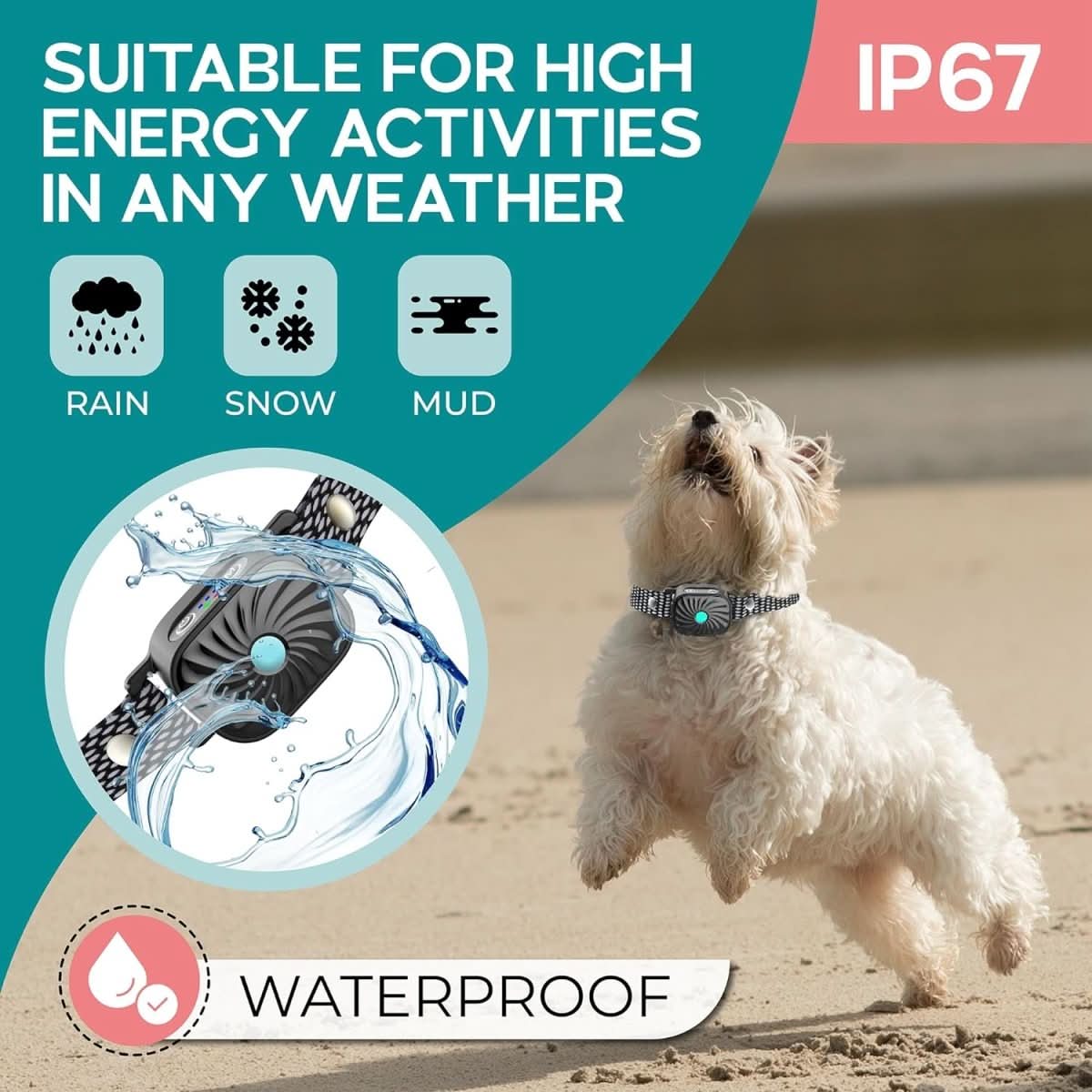 BarkGuard Mini | Gentle Smart Anti-Bark Collar for Small Dogs 4