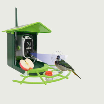 Wireless Outdoor Bird Feeder Cam HD WiFi Monitor
