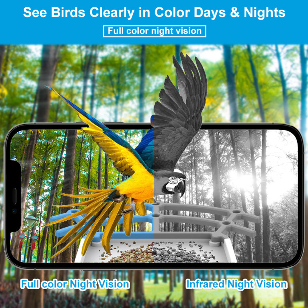 Wireless Outdoor Solar Powered Security Camera Bird Feeder