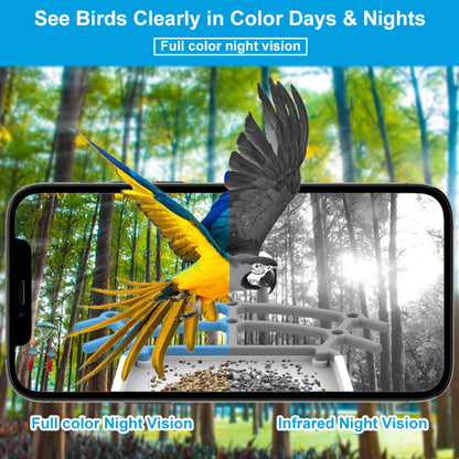 Wireless Outdoor Solar Powered Security Camera Bird Feeder