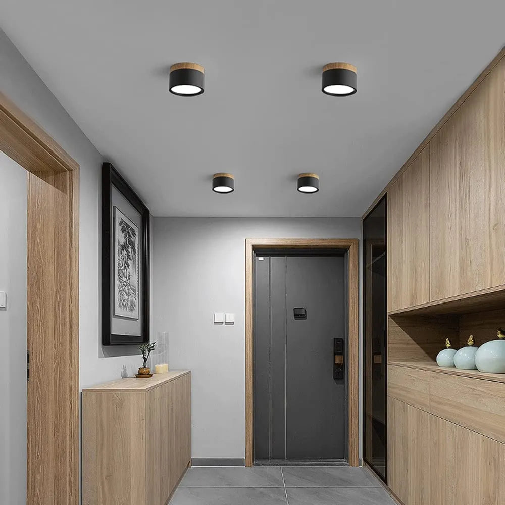 Bright Modern LED Ceiling Lamp for Home - Lusomart