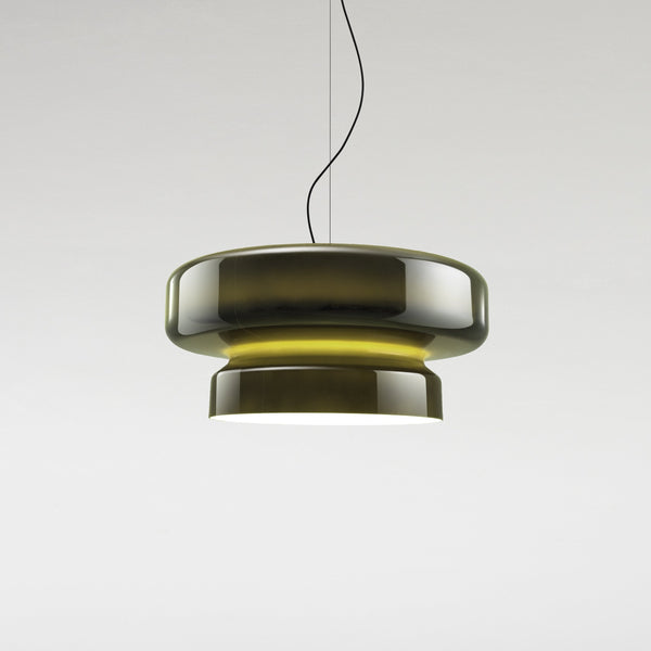 Unique Glass Pendant Light with Natural Shape