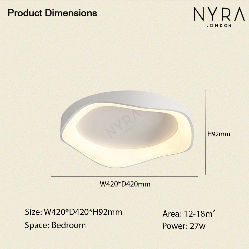 Modern LED Ceiling Wall Light