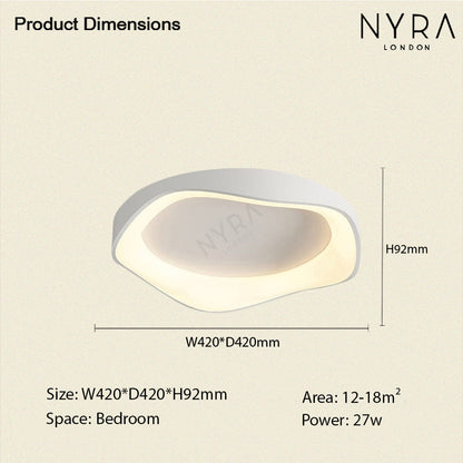 Modern LED Ceiling Wall Light