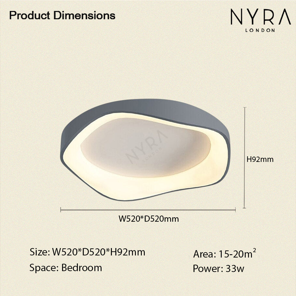 Modern LED Ceiling Wall Light