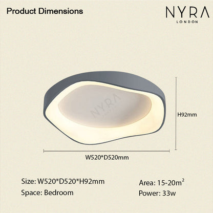 Modern LED Ceiling Wall Light