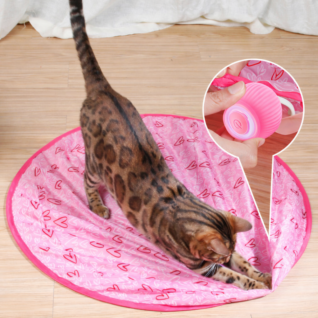 Fun Pet Interactive Bouncing Ball Toy