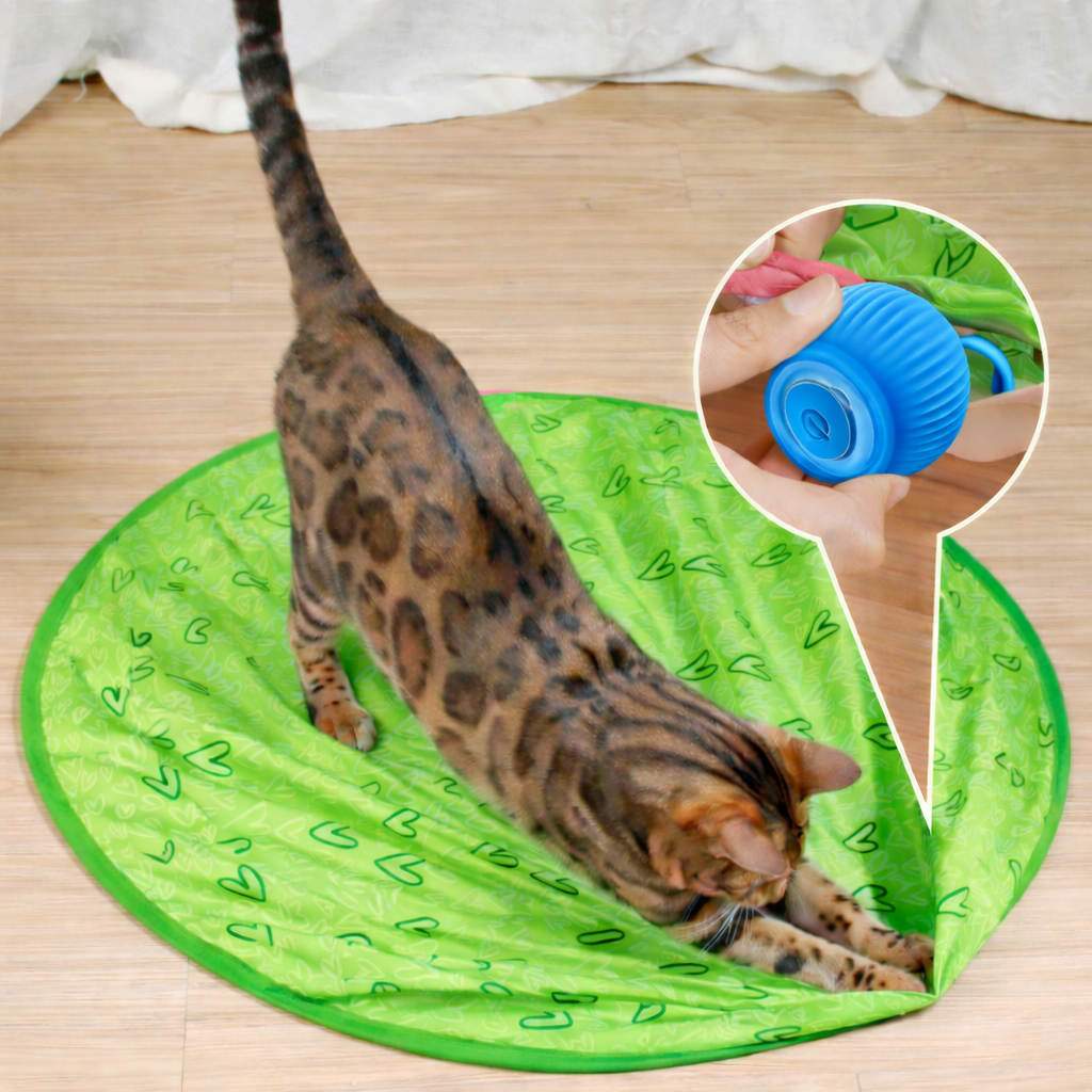 Fun Pet Interactive Bouncing Ball Toy