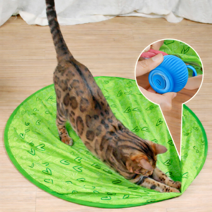 Fun Pet Interactive Bouncing Ball Toy