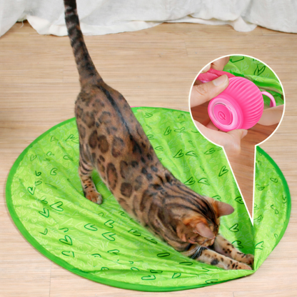 Fun Pet Interactive Bouncing Ball Toy