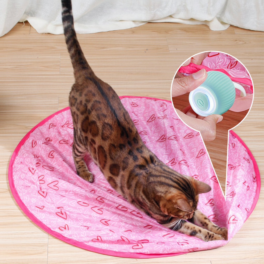 Fun Pet Interactive Bouncing Ball Toy