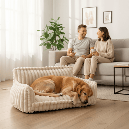 CanineComfort | Plush Orthopedic Memory Foam Dog Sofa Bed 1