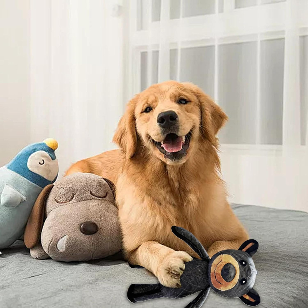 CanineComfort | Sturdy Durable Dog Teether for Medium and Large Breeds 1