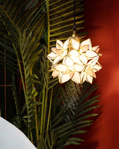 Elegant Shell Pendant Light Fixture