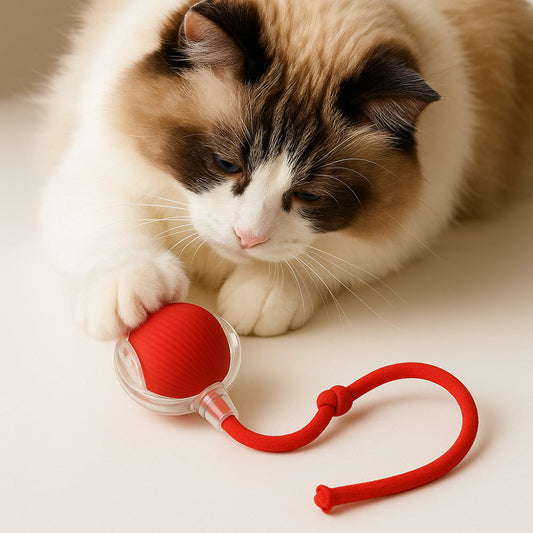 Fun Pet Interactive Chase Ball Toy - Lusomart