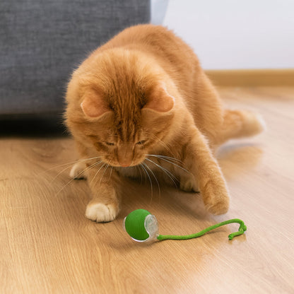 Fun Pet Interactive Chase Ball Toy