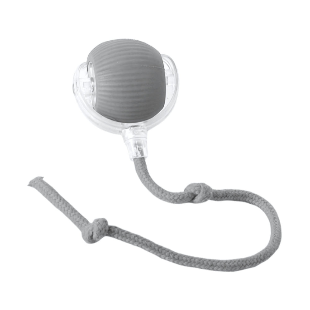 Fun Pet Interactive Chase Ball Toy